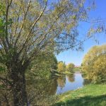 Loimijoki hellepäivänä 16.5.2018.