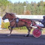 Juiseri lämmittelyajossa, ohjissa on omistaja-valmentaja Camilla Vihanto.