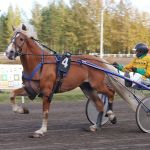 Vernanto ravasi Arto Komulaisen ohjastamana Haastaja- vs. huippudivisioonafinaalissa kakkossijalle.