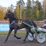 Mr Big Star ja Mika Forss ottivat Kriteriumista kolmossijan.