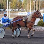 Hiioppi ja Jukka Kauppinen olivat suomenhevosten Kriteriumin kakkosia.