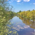 Loimijoki 15.5.2018.