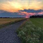 Auringonlasku maaseudulla, Loimaan Kojonkulmalla 3.8.2014 kello 21.45.
