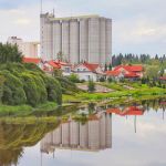 Viljasiilot ja Loimijoki Loimaalla 6.9.2018.